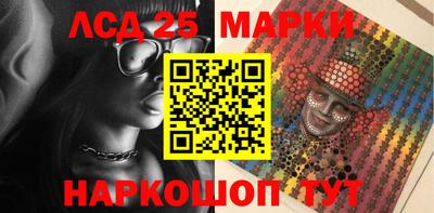 крисы Можга