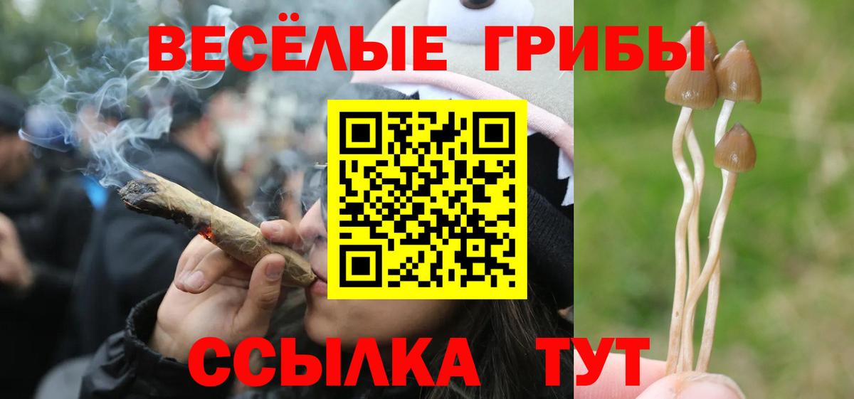 Сызрань  Галлюциногенные грибы мицелий  где можно купить наркотик  Вход с VPN 